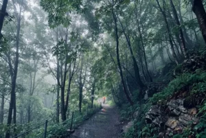 Nathia gali