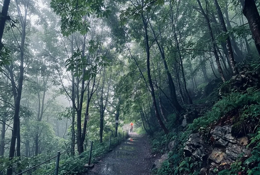 Nathia gali