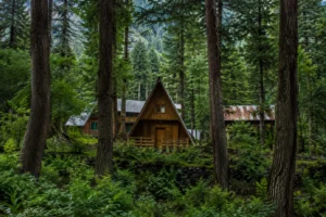 Sharan Forest Escape