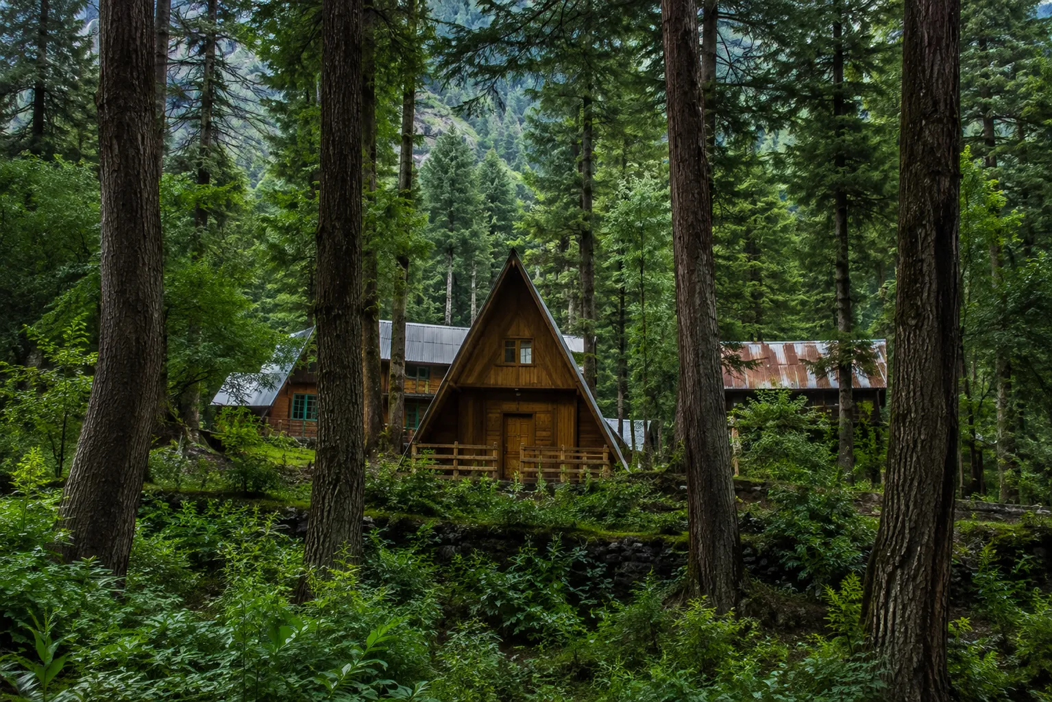 Sharan Forest Escape
