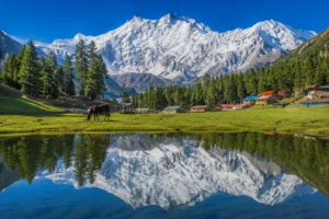 Fairy Meadows