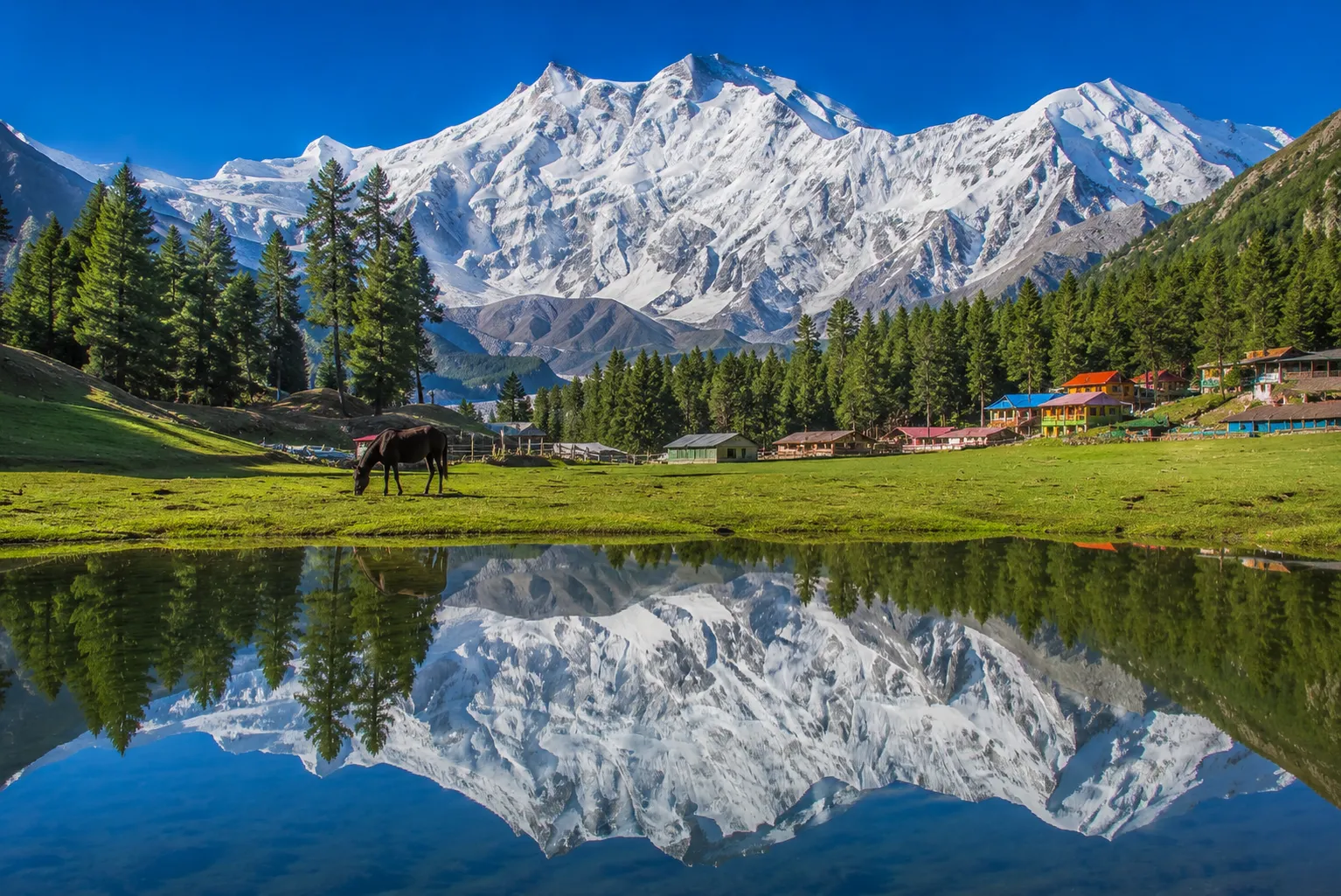 Fairy Meadows