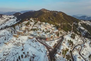 Muree