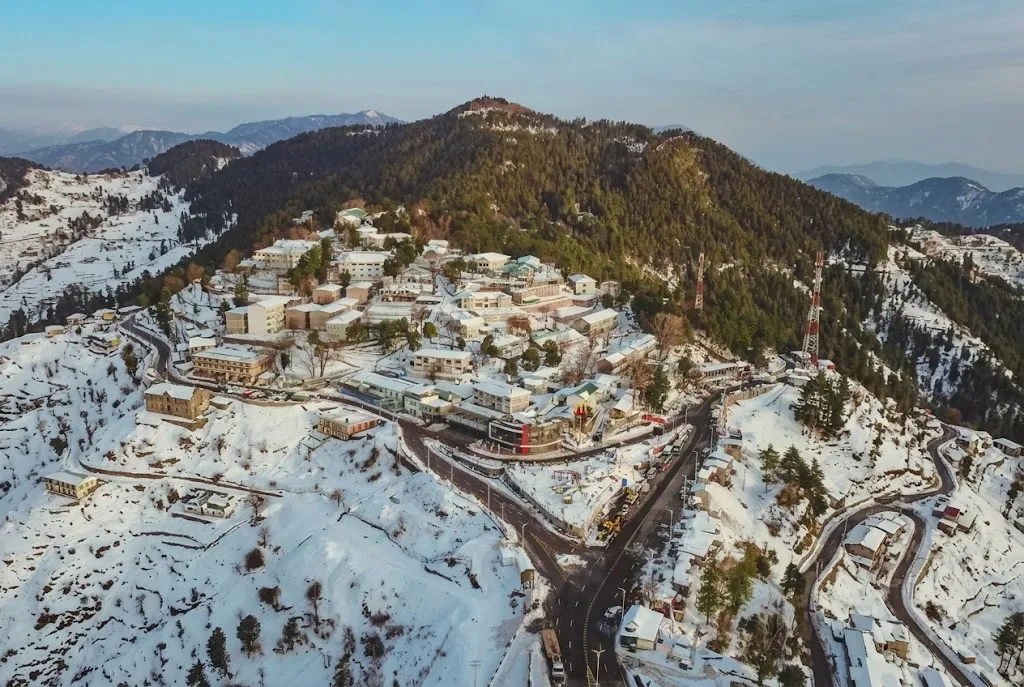 Muree